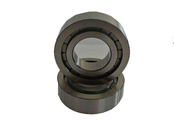 Hydraulic pump bearings