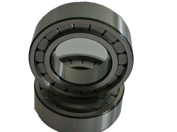 Hydraulic pump bearings