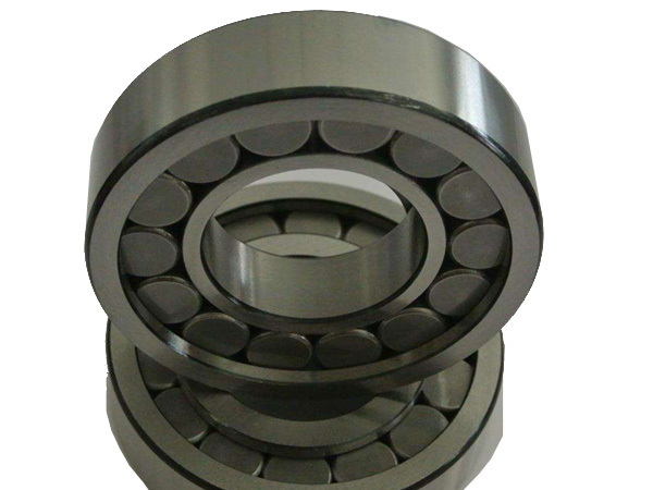 Hydraulic pump bearings